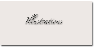 illustrations